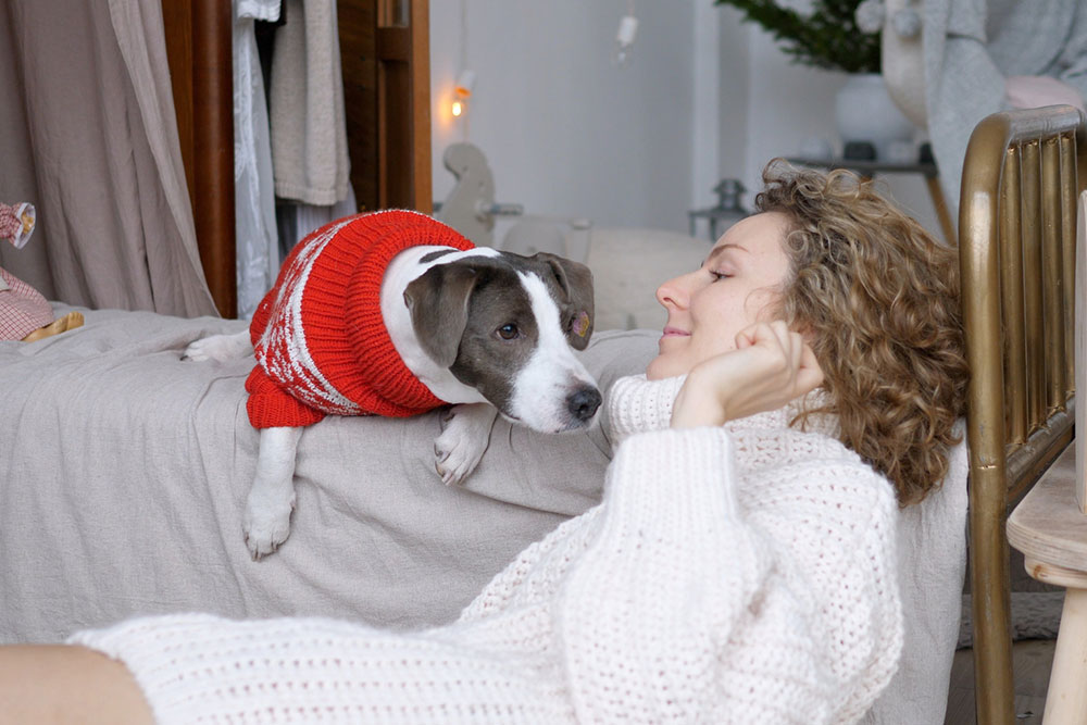 7 Smart Devices for Safe and Happy Pets