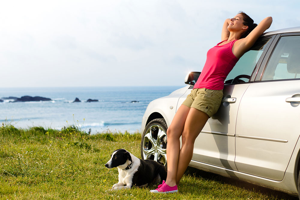 4 Pet-Friendly Travel Safety Tips