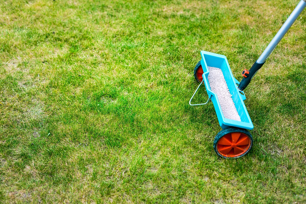 5 Helpful Tips for Smarter Yard Maintenance