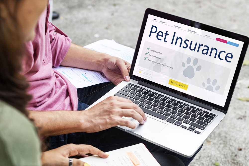 6 Tips for Selecting a Pet Insurance Plan