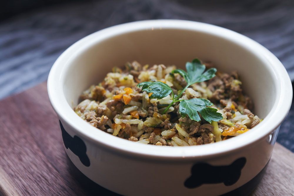 9 Healthy Vet-Approved Dog Foods
